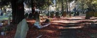Foster Hill Road Cemetery