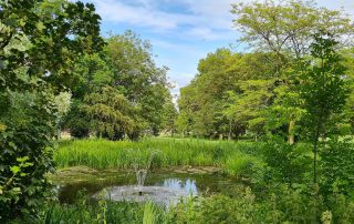Rooksmead Pond