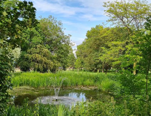 Referendum – Neighbourhood Plan for Brickhill – Thursday 5th February 2026