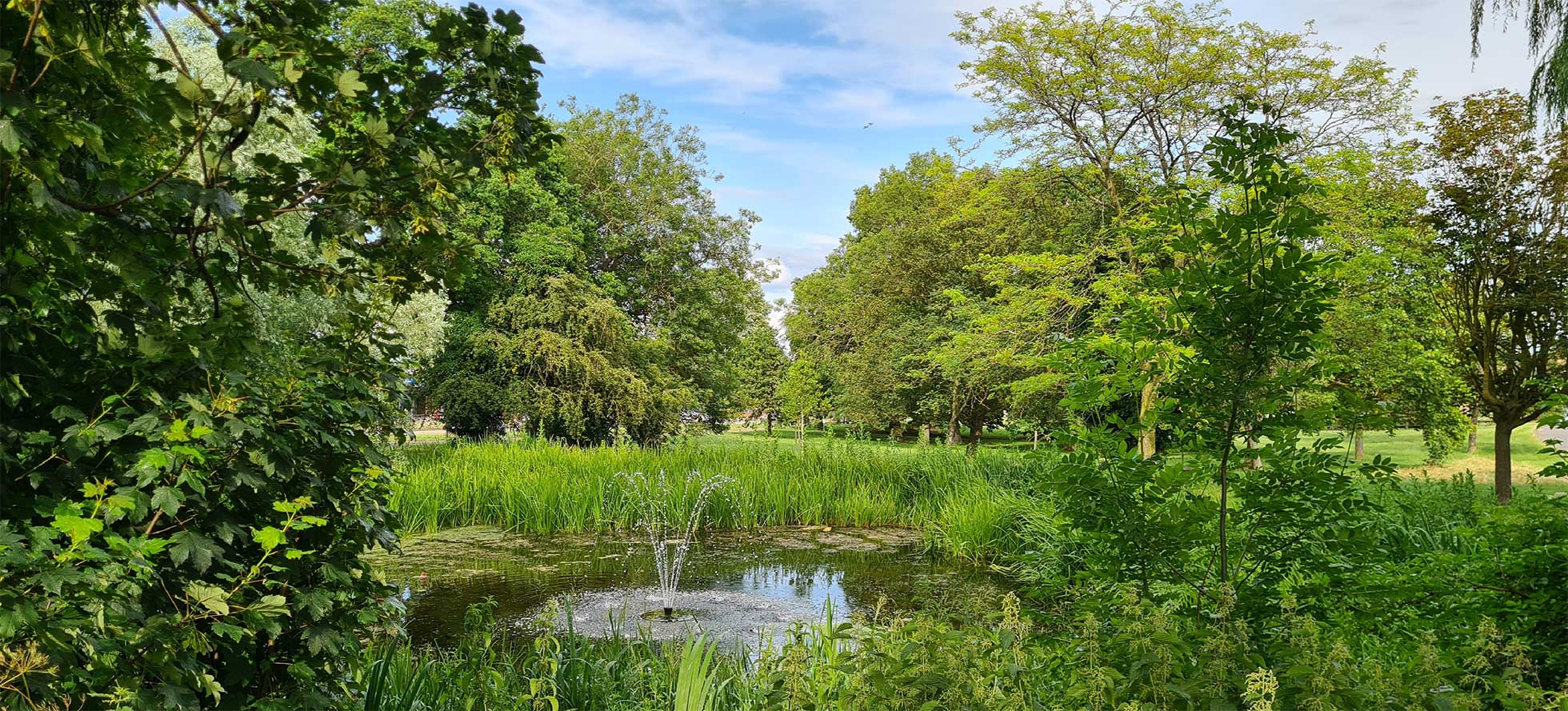Rooksmead Pond with fountain, surrounded by native trees and fauna