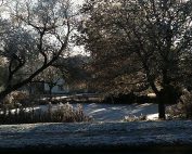 Rooksmead Pond in Winter