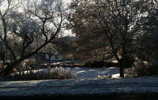 Rooksmead Pond in Winter