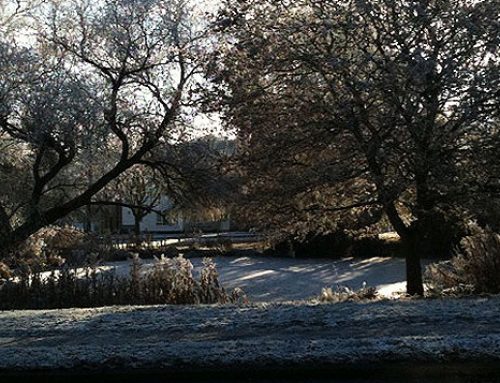 Referendum Result – Neighbourhood Plan for Brickhill