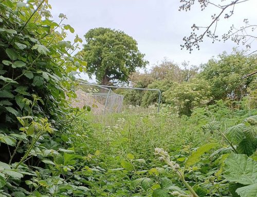 North Beds Ramblers – Cleat Hill Update