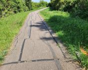 Grenadier-Close-and-Browney-Path-1