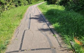 Grenadier-Close-and-Browney-Path-1