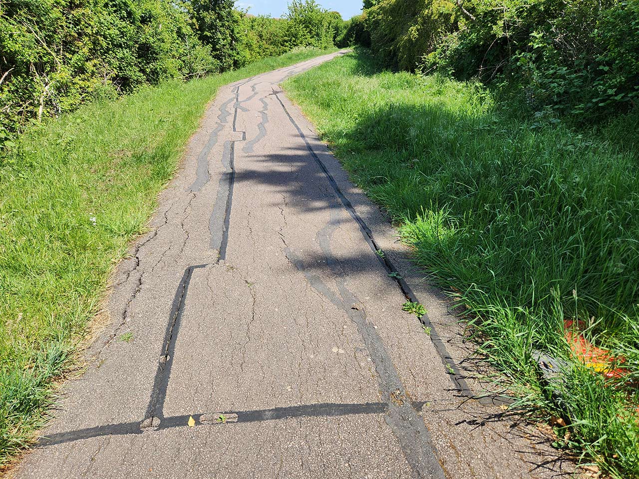 Grenadier-Close-and-Browney-Path-1