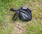 Dog Poo Bags Abandoned on path