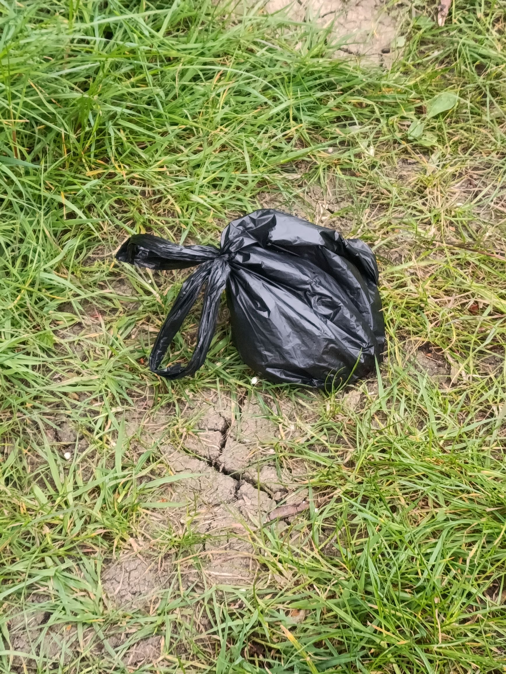 Dog Poo Bags Abandoned on path